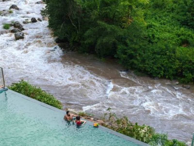 Best luxury resort in Munnar — Shola Crown infinity pool overlooking Mathikettan Shola National Park